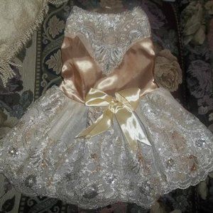 Brand New Never Worn Fancy Beautiful Gold DOG Dress Size Large